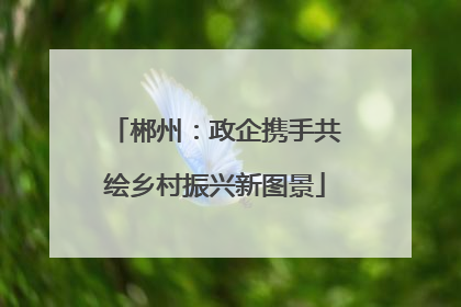 郴州：政企携手共绘乡村振兴新图景