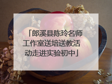 郎溪县陈玲名师工作室送培送教活动走进实验初中