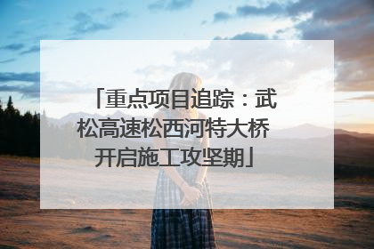 重点项目追踪：武松高速松西河特大桥开启施工攻坚期