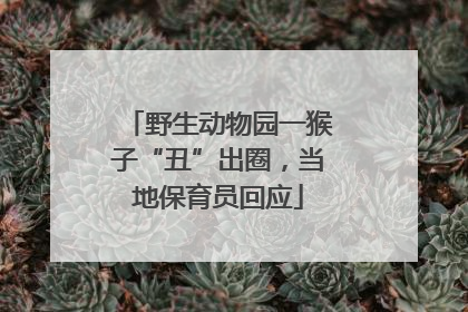野生动物园一猴子“丑”出圈，当地保育员回应