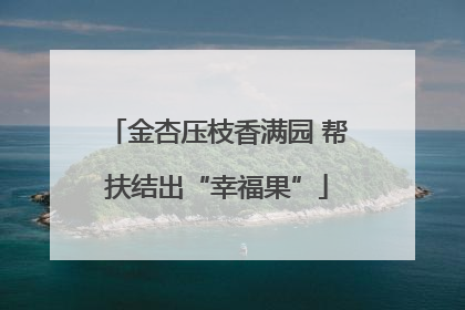 金杏压枝香满园 帮扶结出“幸福果”