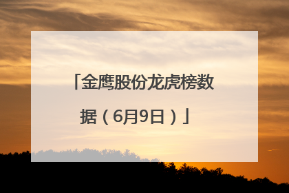 金鹰股份龙虎榜数据（6月9日）