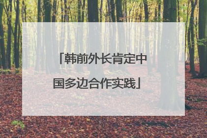 韩前外长肯定中国多边合作实践