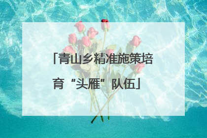 青山乡精准施策培育“头雁”队伍