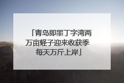青岛即墨丁字湾两万亩蛏子迎来收获季 每天万斤上岸