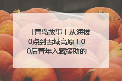 青岛故事丨从海拔0点到雪域高原！00后青年入藏援助的400多个日夜