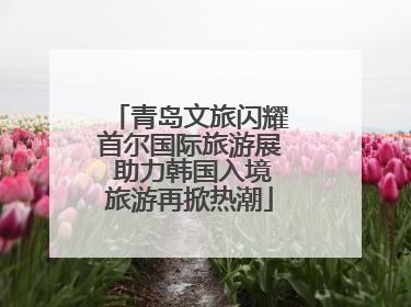 青岛文旅闪耀首尔国际旅游展 助力韩国入境旅游再掀热潮