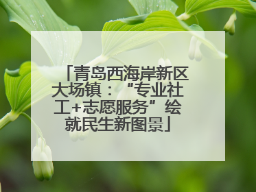 青岛西海岸新区大场镇：“专业社工+志愿服务”绘就民生新图景