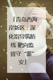 青岛西海岸新区：深化指导筑防线 靶向监督守“薪”安