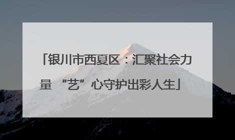 银川市西夏区：汇聚社会力量 “艺”心守护出彩人生
