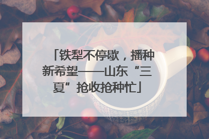 铁犁不停歇，播种新希望——山东“三夏”抢收抢种忙