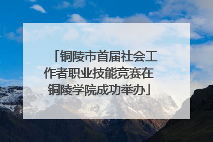 铜陵市首届社会工作者职业技能竞赛在铜陵学院成功举办