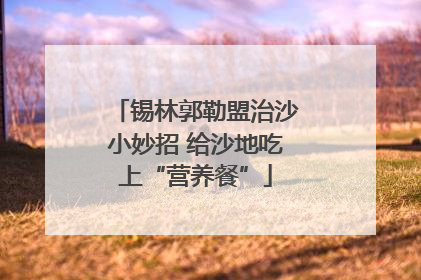 锡林郭勒盟治沙小妙招 给沙地吃上“营养餐”
