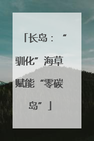 长岛：“驯化”海草赋能“零碳岛”