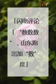闪电评论丨“数数数”，山东跑出加“数”度