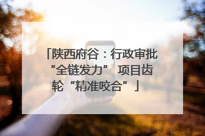 陕西府谷：行政审批“全链发力” 项目齿轮“精准咬合”