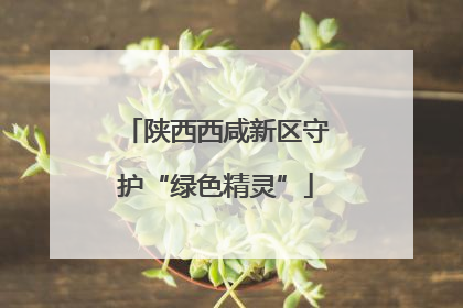 陕西西咸新区守护“绿色精灵”