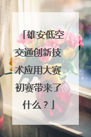 雄安低空交通创新技术应用大赛初赛带来了什么？