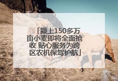 颍上150多万亩小麦即将全面抢收 贴心服务为跨区农机保驾护航
