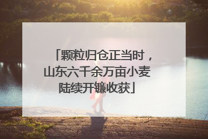 颗粒归仓正当时，山东六千余万亩小麦陆续开镰收获