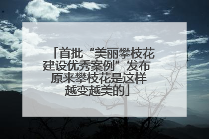 首批“美丽攀枝花建设优秀案例”发布 原来攀枝花是这样越变越美的