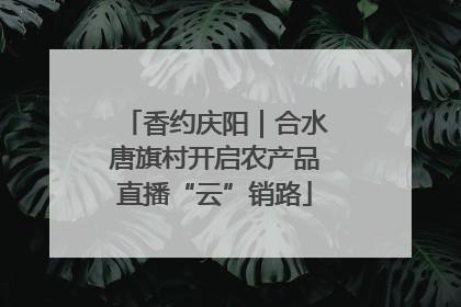 香约庆阳｜合水唐旗村开启农产品直播“云”销路