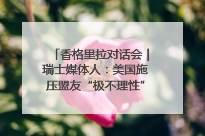 香格里拉对话会｜瑞士媒体人：美国施压盟友“极不理性” 欧洲国家无意与中国“脱钩断链”
