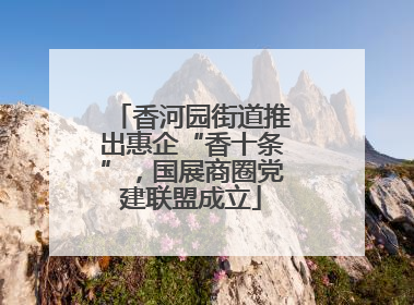 香河园街道推出惠企“香十条”，国展商圈党建联盟成立