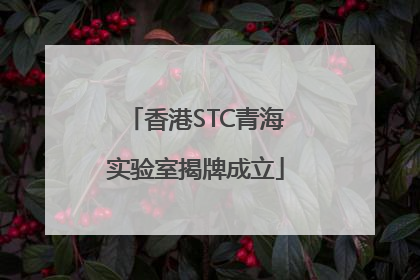 香港STC青海实验室揭牌成立
