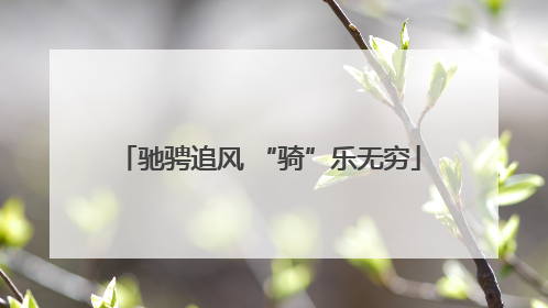 驰骋追风 “骑”乐无穷