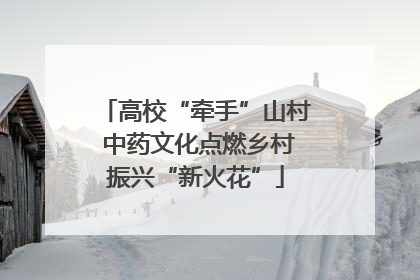 高校“牵手”山村 中药文化点燃乡村振兴“新火花”