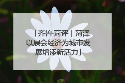 齐鲁·菏评｜菏泽以展会经济为城市发展增添新活力