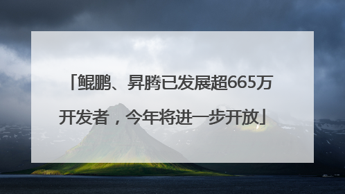 鲲鹏、昇腾已发展超665万开发者，今年将进一步开放