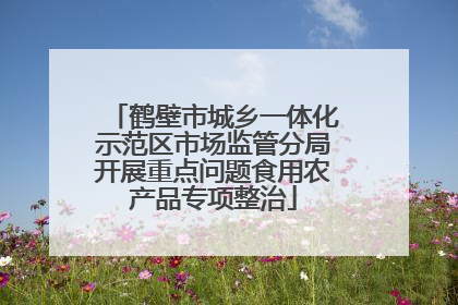 鹤壁市城乡一体化示范区市场监管分局开展重点问题食用农产品专项整治