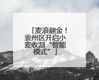 麦浪翻金！襄州区开启小麦收割“智能模式”