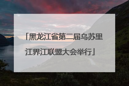 黑龙江省第二届乌苏里江界江联盟大会举行