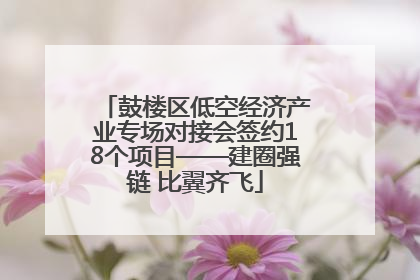 鼓楼区低空经济产业专场对接会签约18个项目——建圈强链 比翼齐飞