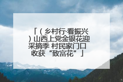 （乡村行·看振兴）山西上党金银花迎采摘季 村民家门口收获“致富花”