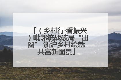 （乡村行·看振兴）毗邻统战破局“出圈” 浙沪乡村绘就共富新图景
