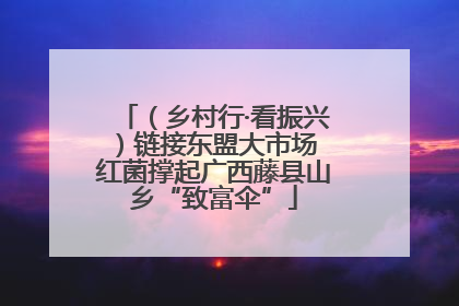（乡村行·看振兴）链接东盟大市场 红菌撑起广西藤县山乡“致富伞”
