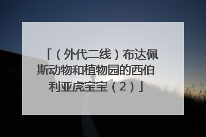 （外代二线）布达佩斯动物和植物园的西伯利亚虎宝宝（2）