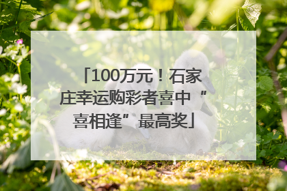 100万元！石家庄幸运购彩者喜中“喜相逢”最高奖