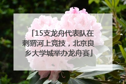 15支龙舟代表队在刺猬河上竞技，北京良乡大学城举办龙舟赛