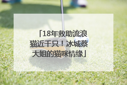 18年救助流浪猫近千只！冰城蔡大姐的猫咪情缘
