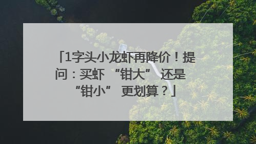 1字头小龙虾再降价！提问：买虾 “钳大” 还是 “钳小” 更划算？