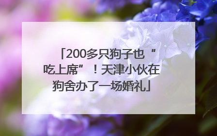 200多只狗子也“吃上席”！天津小伙在狗舍办了一场婚礼