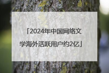 2024年中国网络文学海外活跃用户约2亿