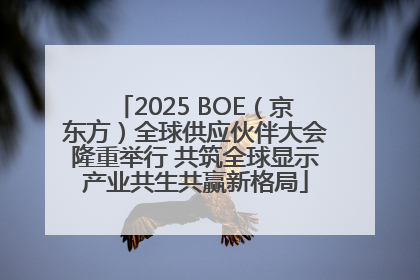 2025 BOE（京东方）全球供应伙伴大会隆重举行 共筑全球显示产业共生共赢新格局