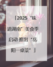 2025“味道湖南”美食季启动 推出“岳阳一桌菜”