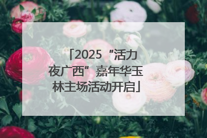 2025“活力夜广西”嘉年华玉林主场活动开启